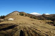 Monte VACCAREGGIO (1474 m) da Lavaggio di Dossena il 24 dic. 2017 - FOTOGALLERY